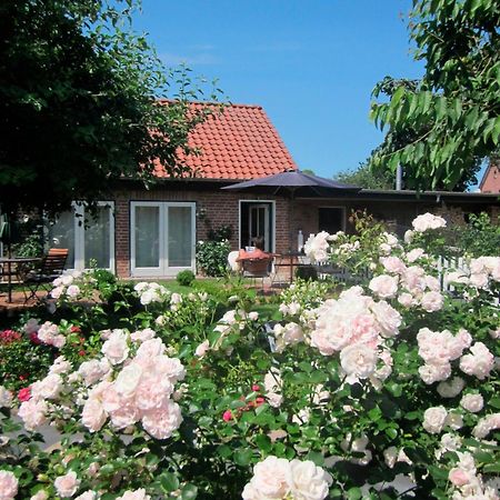 Riepsdorf"Rosenkate 1"公寓 外观 照片