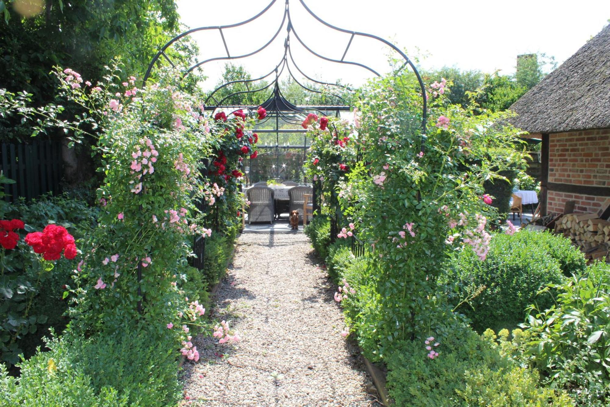 Riepsdorf"Rosenkate 1"公寓 外观 照片
