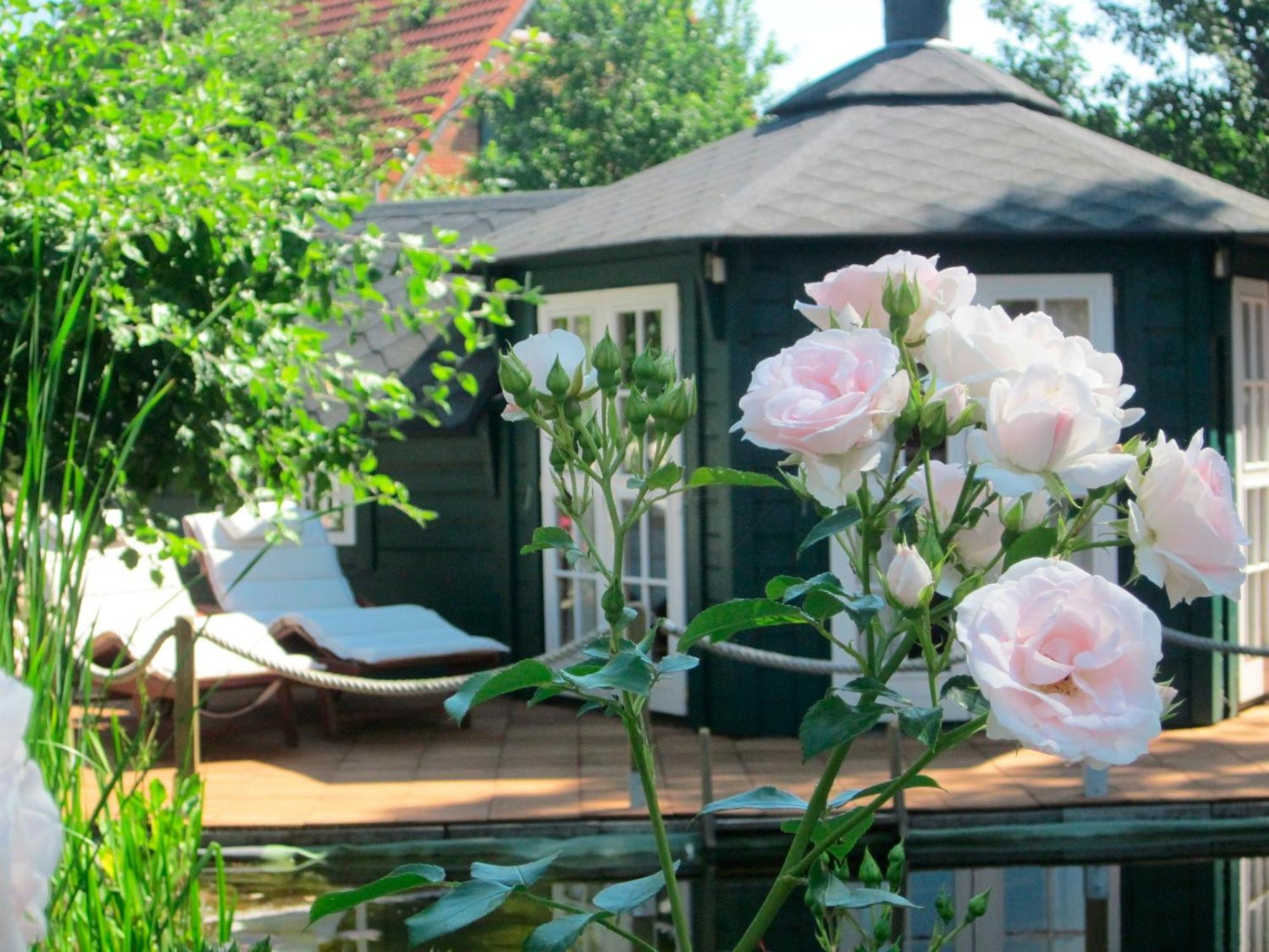 Riepsdorf"Rosenkate 1"公寓 外观 照片